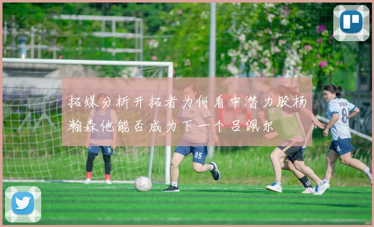 拓媒分析开拓者为何看中潜力股杨瀚森他能否成为下一个吕佩尔