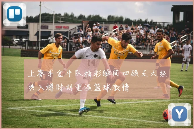 上赛季金牛队精彩瞬间回顾五大经典入樽时刻重温篮球激情